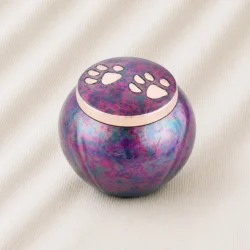 Aurora Paw Tribute Odyssey Urn image