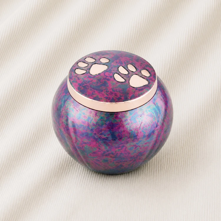 Aurora Paw Tribute Odyssey Urn Image 1