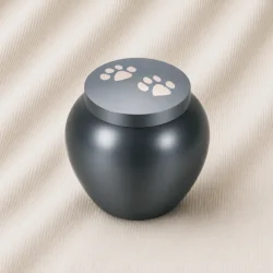 Obsidian Paw Tribute Odyssey Urn image